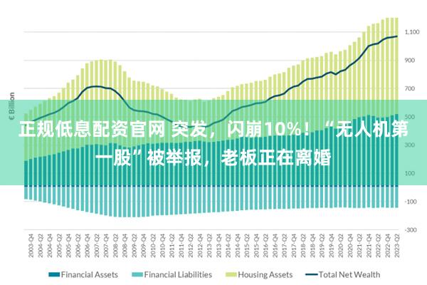 正规低息配资官网 突发，闪崩10%！“无人机第一股”被举报，老板正在离婚