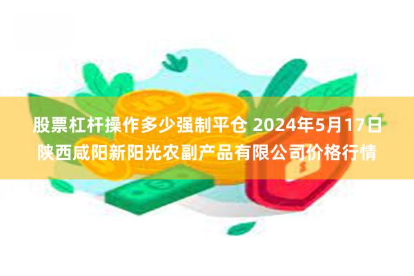 股票杠杆操作多少强制平仓 2024年5月17日陕西咸阳新阳光农副产品有限公司价格行情