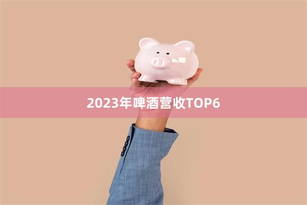 2023年啤酒营收TOP6