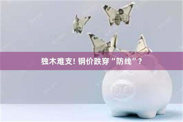 独木难支! 钢价跌穿“防线”?