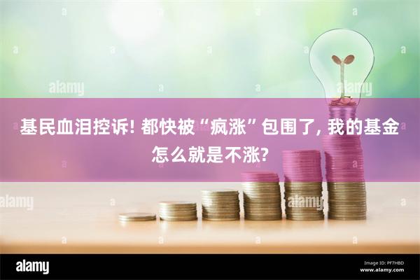 基民血泪控诉! 都快被“疯涨”包围了, 我的基金怎么就是不涨?