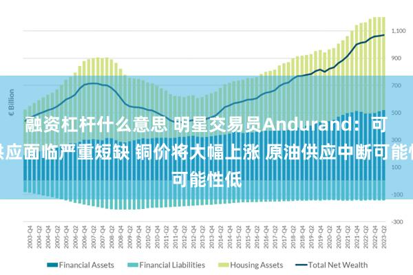 融资杠杆什么意思 明星交易员Andurand：可可供应面临严重短缺 铜价将大幅上涨 原油供应中断可能性低