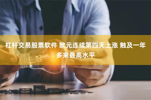 杠杆交易股票软件 欧元连续第四天上涨 触及一年多来最高水平