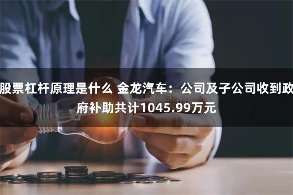 股票杠杆原理是什么 金龙汽车：公司及子公司收到政府补助共计1045.99万元