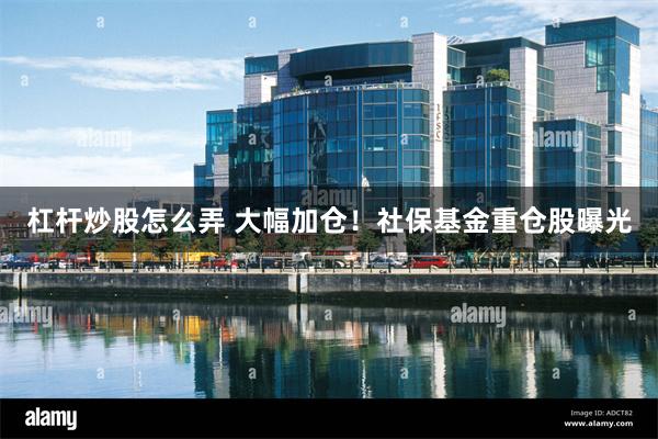 杠杆炒股怎么弄 大幅加仓！社保基金重仓股曝光