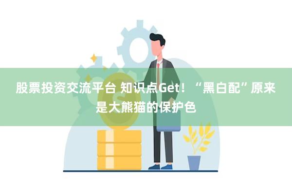 股票投资交流平台 知识点Get！“黑白配”原来是大熊猫的保护色