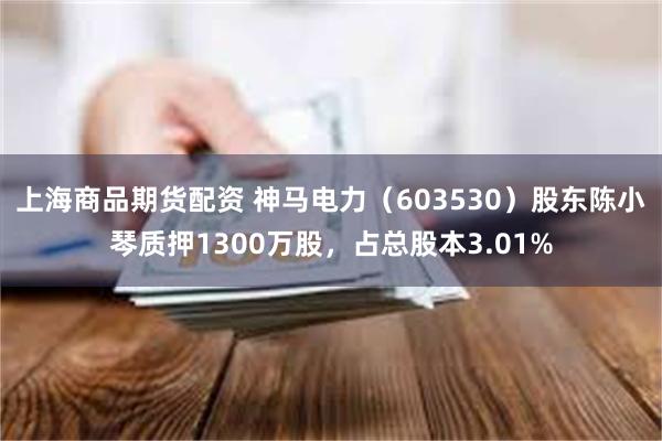 上海商品期货配资 神马电力（603530）股东陈小琴质押1300万股，占总股本3.01%