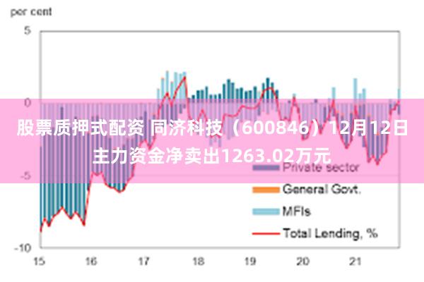 股票质押式配资 同济科技（600846）12月12日主力资金净卖出1263.02万元