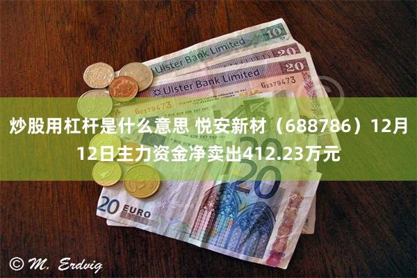 炒股用杠杆是什么意思 悦安新材（688786）12月12日主力资金净卖出412.23万元