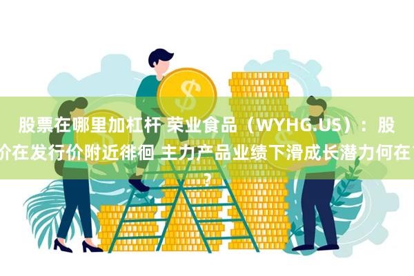 股票在哪里加杠杆 荣业食品（WYHG.US）：股价在发行价附近徘徊 主力产品业绩下滑成长潜力何在？