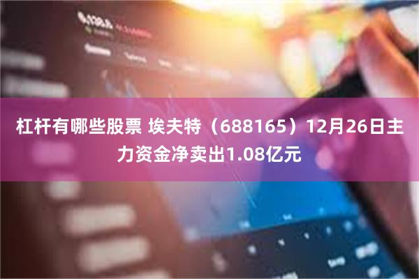 杠杆有哪些股票 埃夫特（688165）12月26日主力资金净卖出1.08亿元