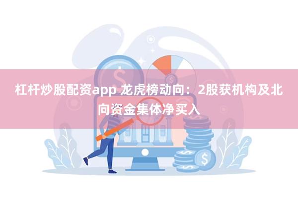 杠杆炒股配资app 龙虎榜动向：2股获机构及北向资金集体净买入