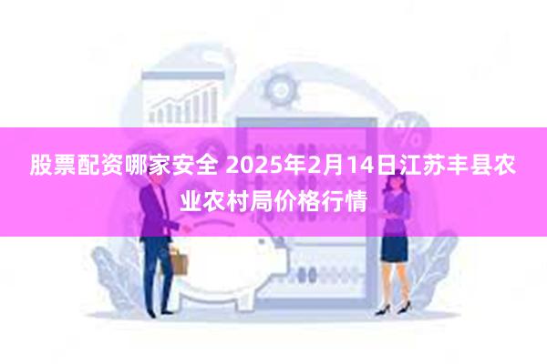 股票配资哪家安全 2025年2月14日江苏丰县农业农村局价格行情