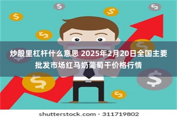 炒股里杠杆什么意思 2025年2月20日全国主要批发市场红马奶葡萄干价格行情