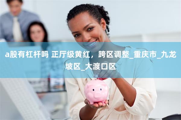 a股有杠杆吗 正厅级黄红，跨区调整_重庆市_九龙坡区_大渡口区