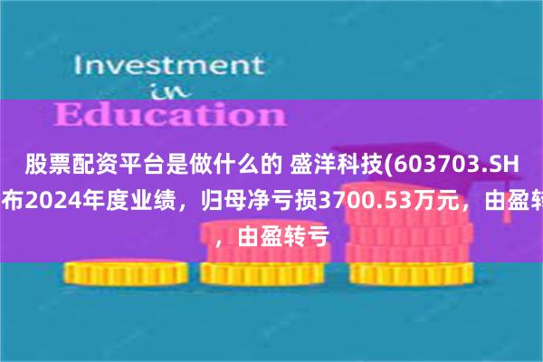 股票配资平台是做什么的 盛洋科技(603703.SH)发布2024年度业绩，归母净亏损3700.53万元，由盈转亏
